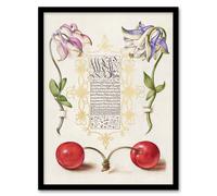 Artery8 Model Book of Calligraphy Framed Wall Art Columbines & Sweet Cherries in White | Size: A3 Artery8 White A3
