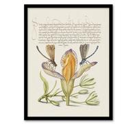 Artery8 Model Book of Calligraphy Framed Wall Art Damselflies on Spanish Iris in Beige | Size: A4 Artery8 Beige A4