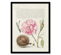 Artery8 Model Book Of Calligraphy Framed Wall Art Damselfly Rose Chestnut Spider - A4 Size