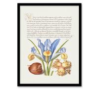 Artery8 Model Book Of Calligraphy Framed Wall Art Iris Flower And Hazelnut - A3 Size