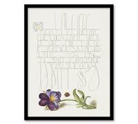 Artery8 Model Book Of Calligraphy Framed Wall Art Ladybird And Wild Pansy - A3 Size