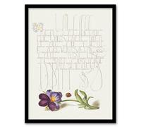 Artery8 Model Book Of Calligraphy Framed Wall Art Ladybird And Wild Pansy - A4 Size