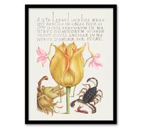 Artery8 Model Book Of Calligraphy Framed Wall Art Larkspurs Tulip And Scorpion - A4 Size