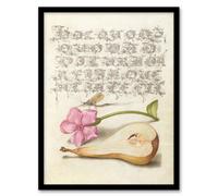 Artery8 Model Book Of Calligraphy Framed Wall Art Mayfly Red Campion And Pear - A4 Size