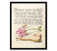 Artery8 Model Book of Calligraphy Framed Wall Art Mayfly Red Campion & Pear in Beige | Size: A4 Artery8 Beige A4