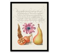 Artery8 Model Book Of Calligraphy Framed Wall Art Medlar Poppy Anemone And Pear - A4 Size