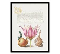 Artery8 Model Book Of Calligraphy Framed Wall Art Pear Pink Tulip And Seashell - A4 Size