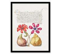 Artery8 Model Book Of Calligraphy Framed Wall Art Poppy Anemone Fig And Quince - A3 Size