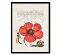 Artery8 Model Book Of Calligraphy Framed Wall Art Poppy Snail And Crane Fly - A3 Size