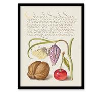 Artery8 Model Book Of Calligraphy Framed Wall Art Snakeshead Walnut And Cherry - A4 Size