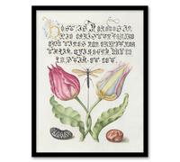 Artery8 Model Book Of Calligraphy Framed Wall Art Tulip Ichneumon Wasp And Beans - A3 Size