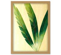 Artery8 Modern Fan Palm Tree Leaf Detail Study Illustration Artwork Framed Wall Art Print A4 in Light Oak Artery8 Light Oak