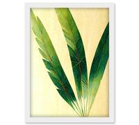 Artery8 Modern Fan Palm Tree Leaf Detail Study Illustration Artwork Framed Wall Art Print A4 in White Artery8 White