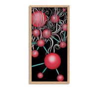 Artery8 Molecules Abstract Ilustration Orange Painting Framed Wall Art Print Long 25X12 Inch