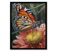 Artery8 Monarch Butterfly On Chrysanthemum Flower Pencil Spring Bloom With Insect Macro Close-Up Wing Pattern Vibrant Colourful Bright Floral Modern Artwork Artwork Framed Wall Art Print 18X24 Inch