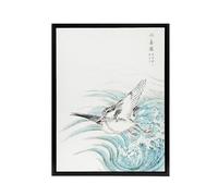 Artery8 Mongolian Plover Japanese Framed Canvas Wall Art Print Vintage Japan : Artwork by Kashu 18x24 Peaceful bird Picture exuding grace, suited to coastal décor or contemporary living rooms
