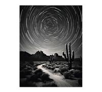 Artery8 Moon & Star Time Lapse Trails Stars Tracing Their Journey Across The Sky Desert Cactus Unframed Wall Art Print Poster Home Decor Premium Artery8 Multicolor W12" x H16"