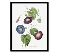 Artery8 Morning Glory Floral Redoute Vintage Framed Wall Art Print in White | Size: A4 Artery8 White A4