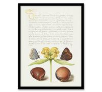 Artery8 Moths Jerusalem Sage & Beans Calligraphy Framed Wall Art Print in White | Size: A4 Artery8 White A4