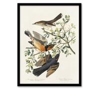 Artery8 Mountain Mocking Bird and Thrush Wall Art Print Framed Poster 12x16 inch Artwork By Audubon : Mockingbird And Thrush Print Perfect For Hallway Or Lounge Showing Harmony Motion And Rural Beauty