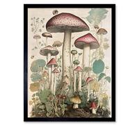 Artery8 Mushroom Fungi Botanical Page Photograph Vintage Cottagecore Rustic Aesthetic Kitchen Art Print Framed Poster Wall Decor 12x16 inch