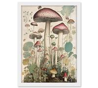 Artery8 Mushroom Fungi Botanical Page Photograph Vintage Cottagecore Rustic Aesthetic Kitchen Artwork Framed A3 Wall Art Print