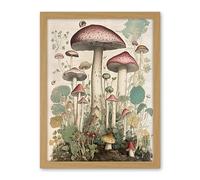 Artery8 Mushroom Fungi Botanical Page Photograph Vintage Cottagecore Rustic Aesthetic Kitchen Artwork Framed Wall Art Print 18X24 Inch