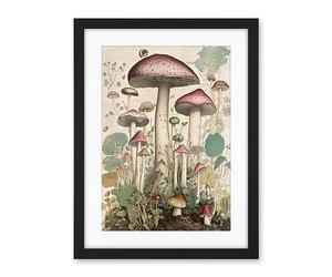 Artery8 Mushroom Fungi Botanical Page Photograph Vintage Cottagecore Rustic Aesthetic Kitchen Artwork Framed Wall Art Print 18X24 Inch