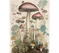 Artery8 Mushroom Fungi Botanical Page Photograph Vintage Cottagecore Rustic Aesthetic Kitchen Extra Large XL Wall Art Poster Print