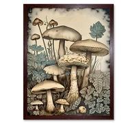 Artery8 Mushroom Fungi Watercolour Vintage Cottagecore Aesthetic Rustic Decor Art Print Framed Poster Wall Decor 12x16 inch