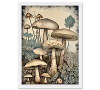 Artery8 Mushroom Fungi Watercolour Vintage Cottagecore Aesthetic Rustic Decor Artwork Framed Wall Art Print A4