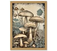 Artery8 Mushroom Fungi Watercolour Vintage Cottagecore Aesthetic Rustic Decor Artwork Framed Wall Art Print A4