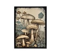 Artery8 Mushroom Fungi Watercolour Vintage Framed Canvas Wall Art Print | Size: W24" x H32" Artery8 Multicolor W24" x H32"