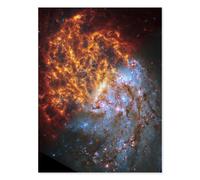Artery8 NASA Hubble James Webb Telescope Spiral Galaxy NGC 1087 Wall Art Print | Size: W18" x H24" Artery8 Multicolor W18" x H24"