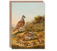 Artery8 Nathaniel Currier Art Card Quail Birds The Cares of a Family