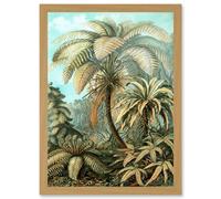 Artery8 Nature Biology Ferns Ernst Haeckel botanical Vintage Artwork Framed Wall Art Print A4 in Light Oak Artery8 Light Oak