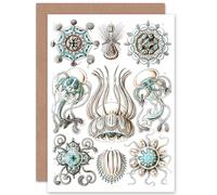 Artery8 Nature Ernst Haeckel Jellyfish Biology Germany Birthday Greetings Card in White Artery8 White