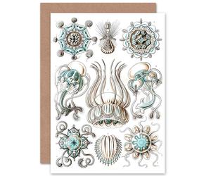 Artery8 Nature Ernst Haeckel Jellyfish Biology Germany Birthday Greetings Card in White Artery8 White