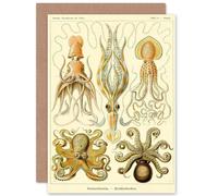 Artery8 Nature Ernst Haeckel Octopus Biology Germany Greetings Card Artery8 Multicolor