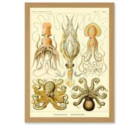Artery8 Nature Ernst Haeckel Octopus Biology Sea Underwater A4 Artwork Framed Wall Art Print