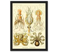 Nature Ernst Haeckel Octopus Biology Sea Underwater A4 Artwork Framed Wall Art Print Artery8 Black One Size