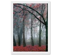 Artery8 Nature Forest Tree Autumn Fall Beautiful Red A4 Artwork Framed Wall Art Print
