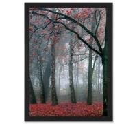 Nature Forest Tree Autumn Fall Beautiful Red A4 Artwork Framed Wall Art Print Artery8 Black One Size