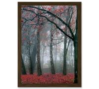 Artery8 Nature Forest Tree Autumn Fall Beautiful Red A4 Artwork Framed Wall Art Print