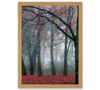 Nature Forest Tree Autumn Fall Beautiful Red A4 Artwork Framed Wall Art Print Artery8 Light Oak One Size