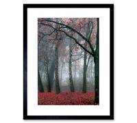 Wee Blue Coo Nature Forest Tree Autumn Fall Beautiful Red Framed Wall Art Print