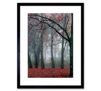 Artery8 Nature Forest Tree Autumn Fall Red Home Decor 12X16" Framed Wall Art Print