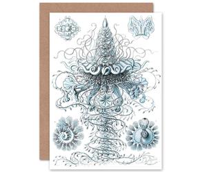Artery8 Nature Jellyfish Ernst Haeckel Germany Biology Birthday Greetings Card in White Artery8 White