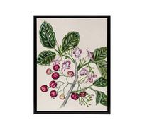 Artery8 New Zealand Puriri Vitex Lucens Flowers Featon Framed Canvas Wall Art in Beige | Size: W18" x H24" Artery8 Beige W18" x H24"