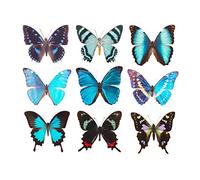 Artery8 Nine types Butterflies Butterfly Collection Various Colourful Large Wall Art Poster Print Thick Paper 18X24 Inch